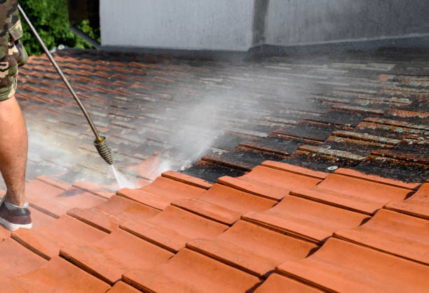 Best Concrete Pressure Washing  in Harwood Heights, IL
